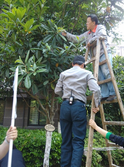 凯时KB88·(中国区)官方网站