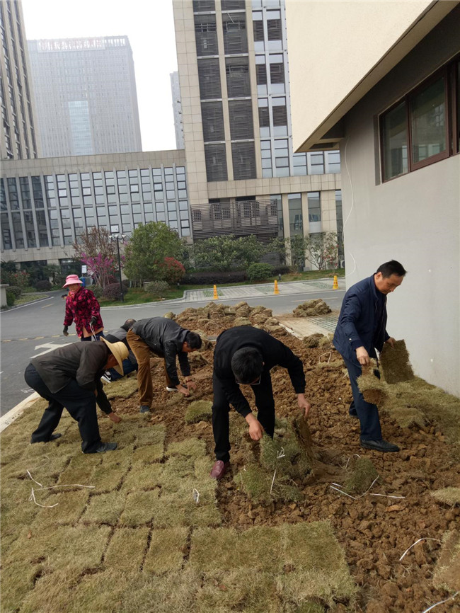 凯时KB88·(中国区)官方网站