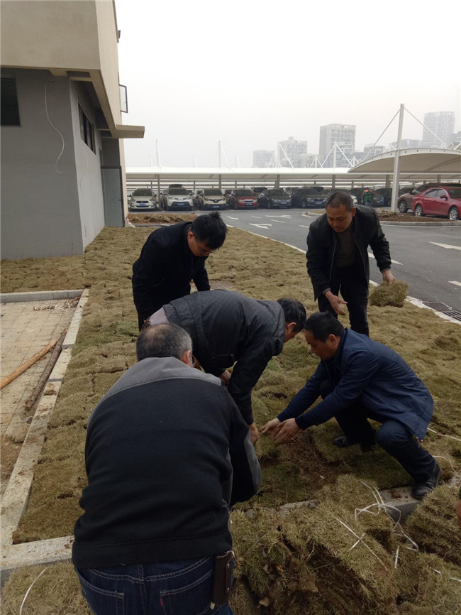 凯时KB88·(中国区)官方网站