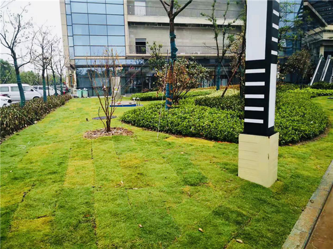 凯时KB88·(中国区)官方网站