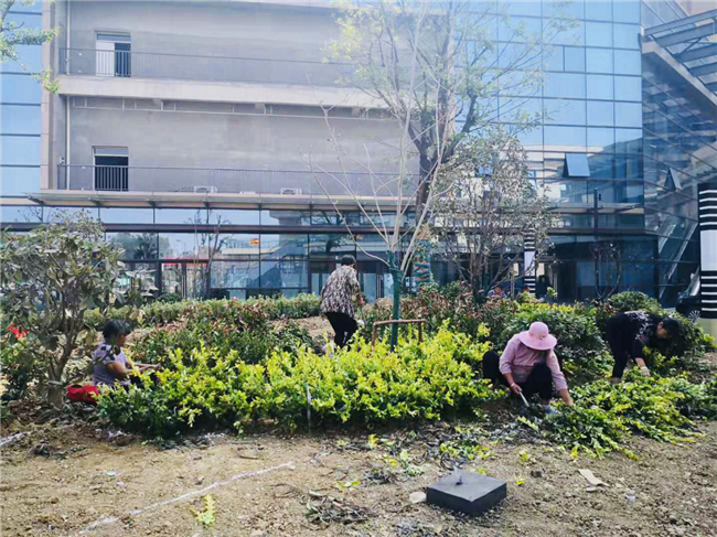 凯时KB88·(中国区)官方网站