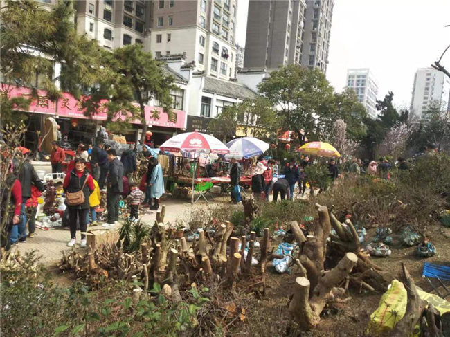 凯时KB88·(中国区)官方网站