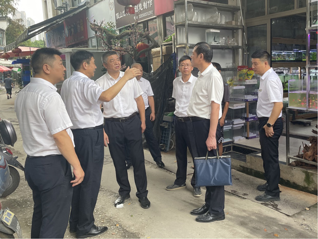 凯时KB88·(中国区)官方网站